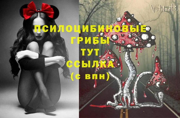 винт Каменск-Шахтинский