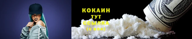 винт Каменск-Шахтинский